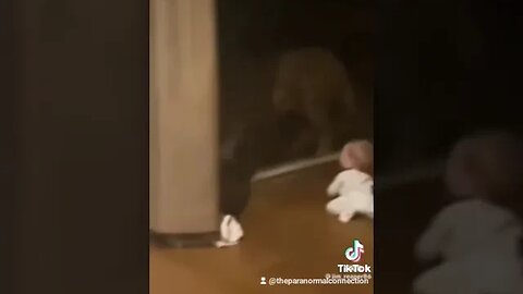 What is next to the baby?
