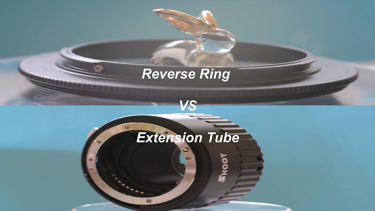 Reverse ring Vs Extension Tube for macro photography