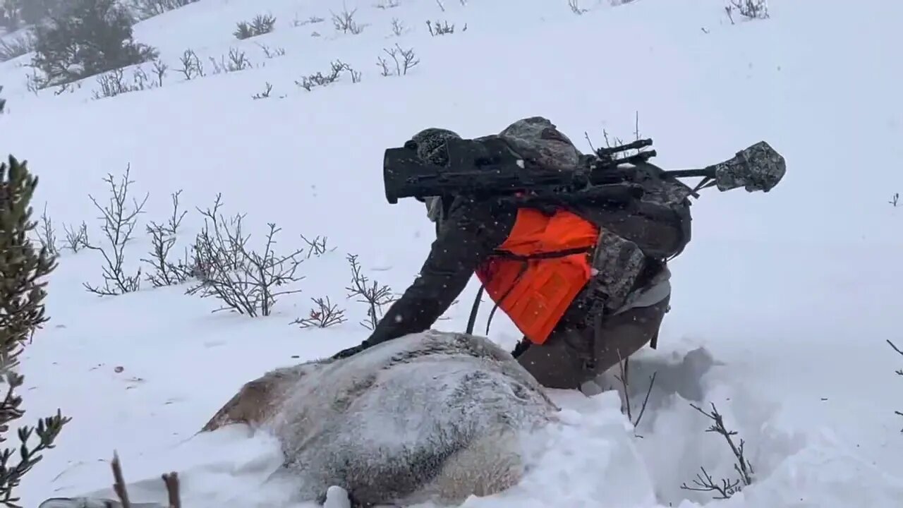 Kick Stomped her heart. Elk hunting the hard way