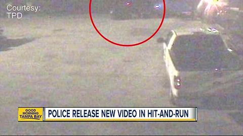 Detectives continue to search for driver in fatal hit and run in Tampa