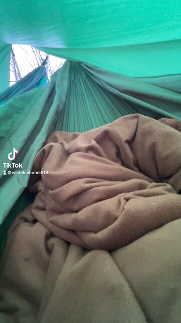 Homeless hammock camping with cats