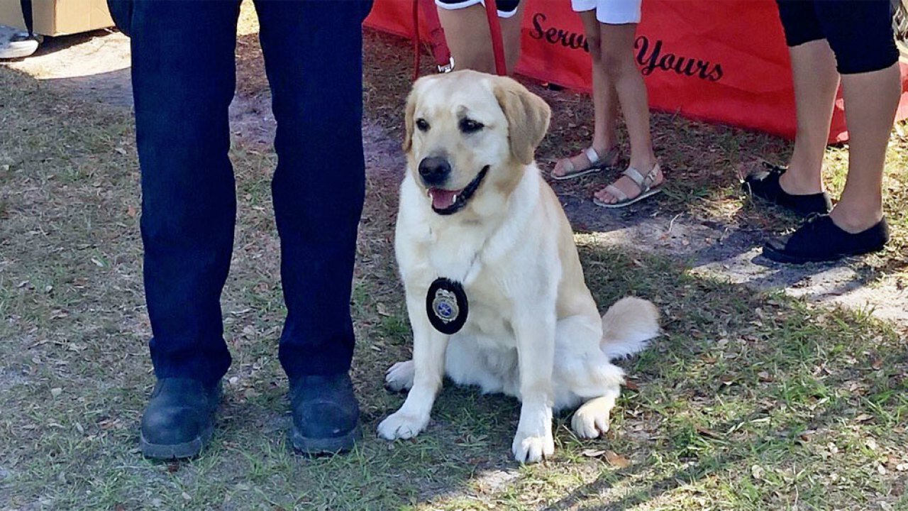 St. Lucie County Fire District arson dog now on the job