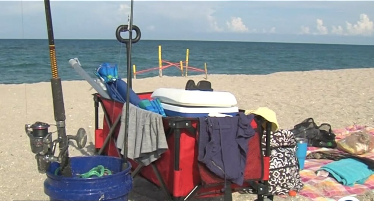 New shore-based shark fishing regulations to take effect July 1