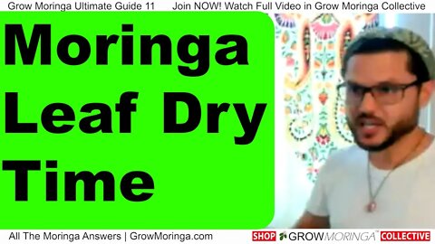 Moringa Leaf Dry Time to Avoid Mold & Bacteria ‘Do Not Bundle’ Spread Out On Screen Racks with Fans