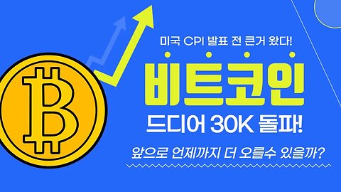나무를 보지 말고 숲을 바라보는 현명한 투자를 하자|쩔코TV 4월10일