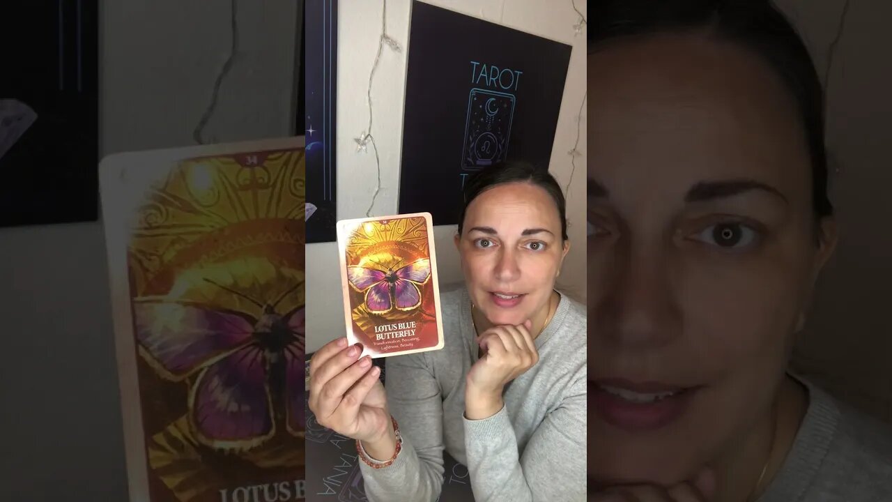 June 8th 2023 DAILY ORACLE CARD #tarot #shorts