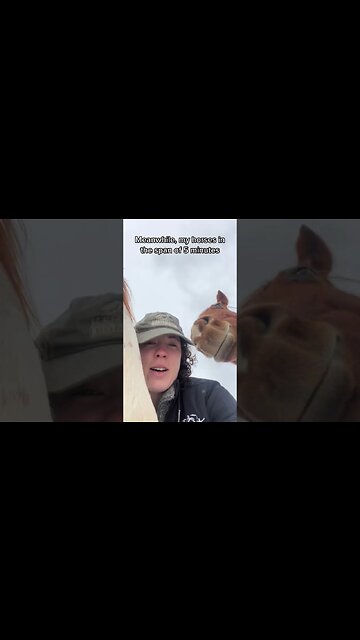 Horses Are So Majestic…