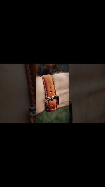 Interesting New Baltany #shorts #HWR