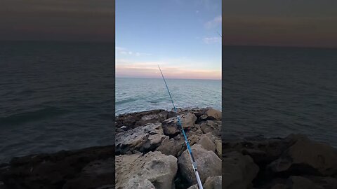 اهداء لكل عشاق البحر و على رأسهم رياس الصيد بالقصبة 🐟🎣🥹🥹