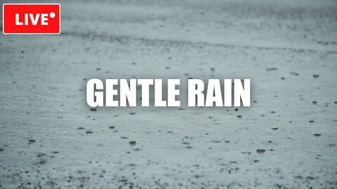 🔴 Soothing Gentle Rain to Sleep Instantly, Rain Sounds for Sleeping, Insomnia, Studying, Relaxing