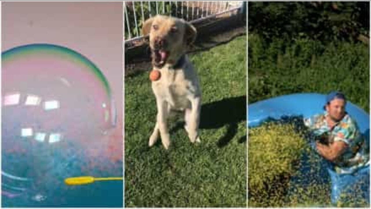 驚きスローモーション映像集！