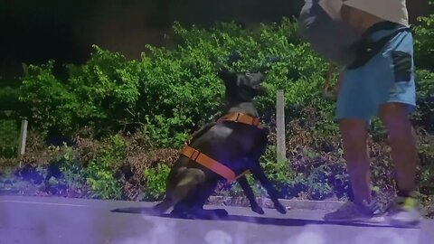 Testando o autocontrole e tentando induzi-la ao erro no Treino de Saque de Arma da Cintura