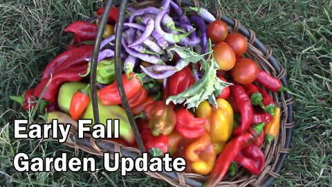 Our Vegetable Garden In Early Fall - Still Harvesting