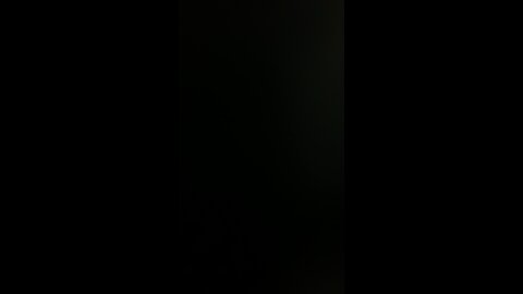 How to pronounce white nationalist