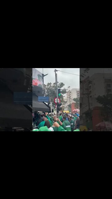 Torcida do Palmeiras celebrando o gol do América Mineiro que deu o título ao Palmeiras