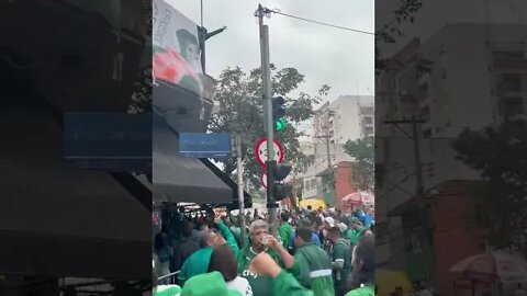 Torcida do Palmeiras celebrando o gol do América Mineiro que deu o título ao Palmeiras