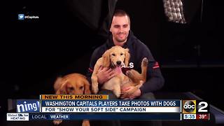 Washington Capitals players show their soft side