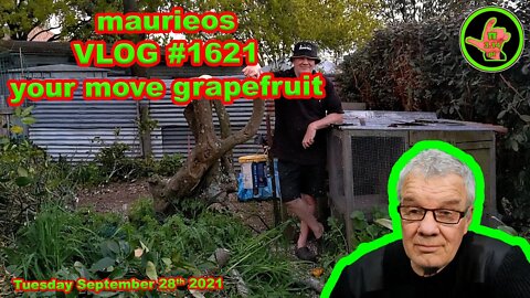 maurieos VLOG #1621 your move grapeftuit