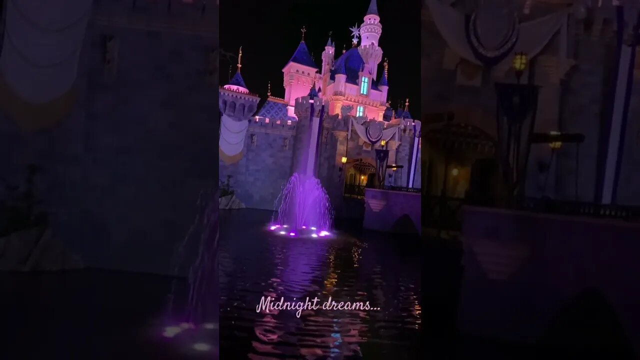 Disneyland rose and Sleeping Beauty Castle at midnight. #disneyland #sleepingbeautycastle #rose