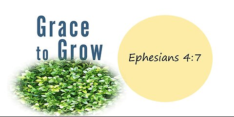 Worship Service for November 24, 2024