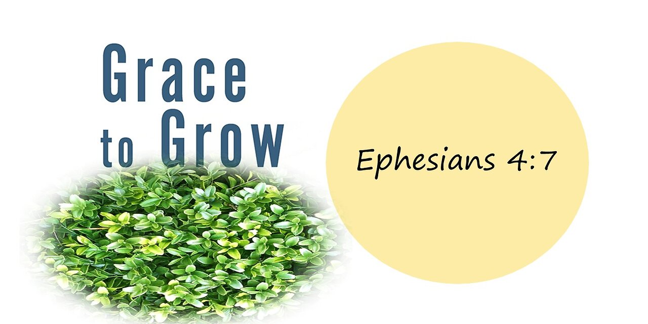 Worship Service for November 24, 2024