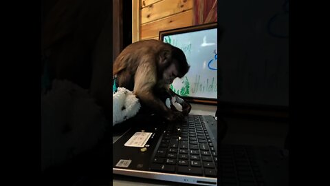 Live Video