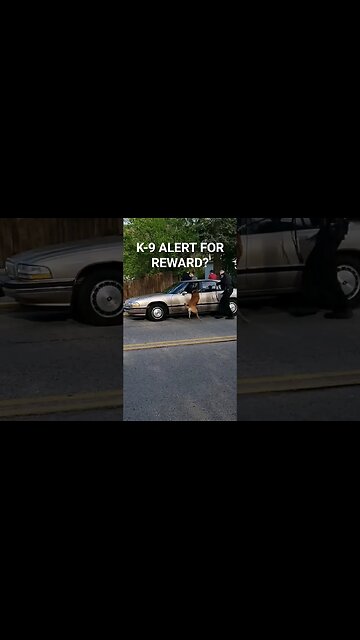 SHOULD A K-9 BE REWARDED IF IT ALERTS THE COP