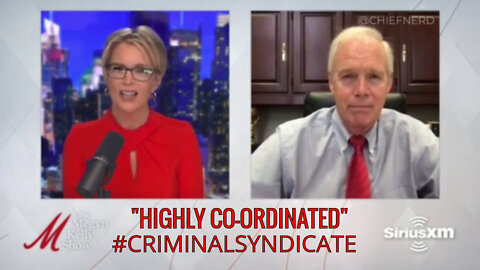 PATRIOT SENATOR RON JOHNSON BOMBS THE 'HIGHLY CO-ORDINATED' #CRIMINALSYNDICATE