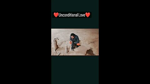 Unconditional Love 💓