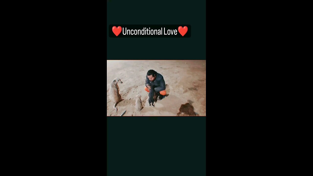 Unconditional Love 💓