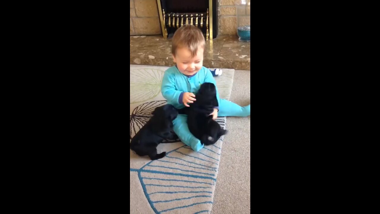 Funny child and dog video