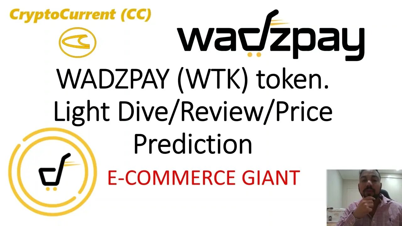 WadzPay (WTK) token. Light Dive/Review/Price Prediction.