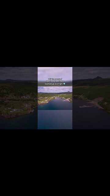 massive iceberg shows up over night 🫣