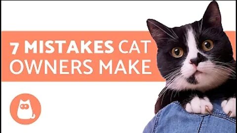 7 Mistakes cat owners make