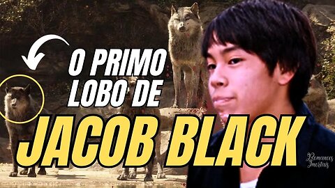 A grande História de COLLIN LITTLESEA um lobo da Matilha de Sam Uley de A saga Crepúsculo