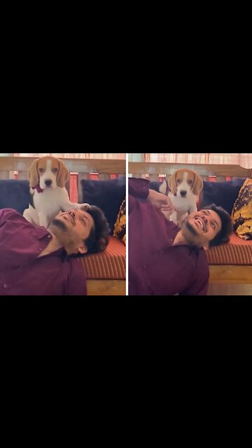 Talented puppy fools everyone into thinking this is a photo