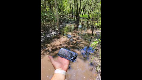 Samsung S21 Surviving 3 Weeks in FL Swamp