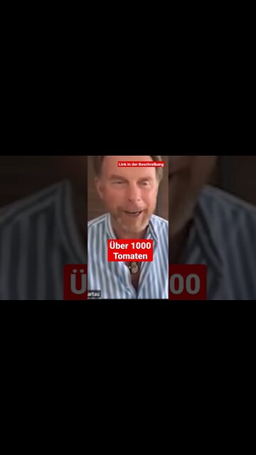 1000 Tomaten an einer Pflanze 🍅