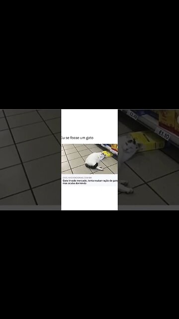 Memes engraçados para alegrar a galera! #shorts