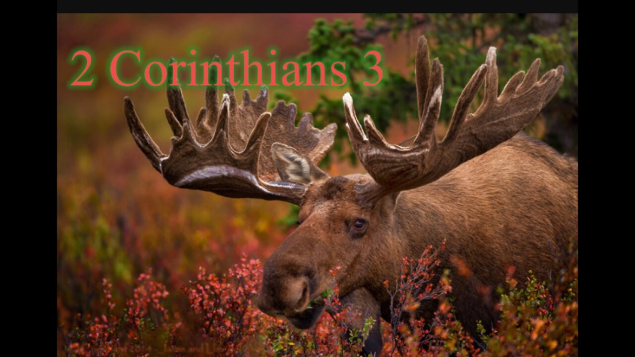 Read the Bible with me. 2 Corinthians 3