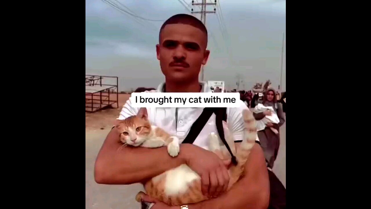 Palestinian man refuses to leave his cat behind as he migrates from the north to the the south Gaza