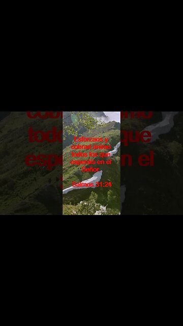 Verso Del Día | Lectura Inspiradora Para Empezar El Día. | 32