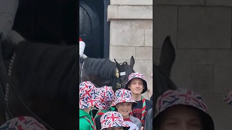 Guard moves his horse to interact with the kids #horseguardsparade