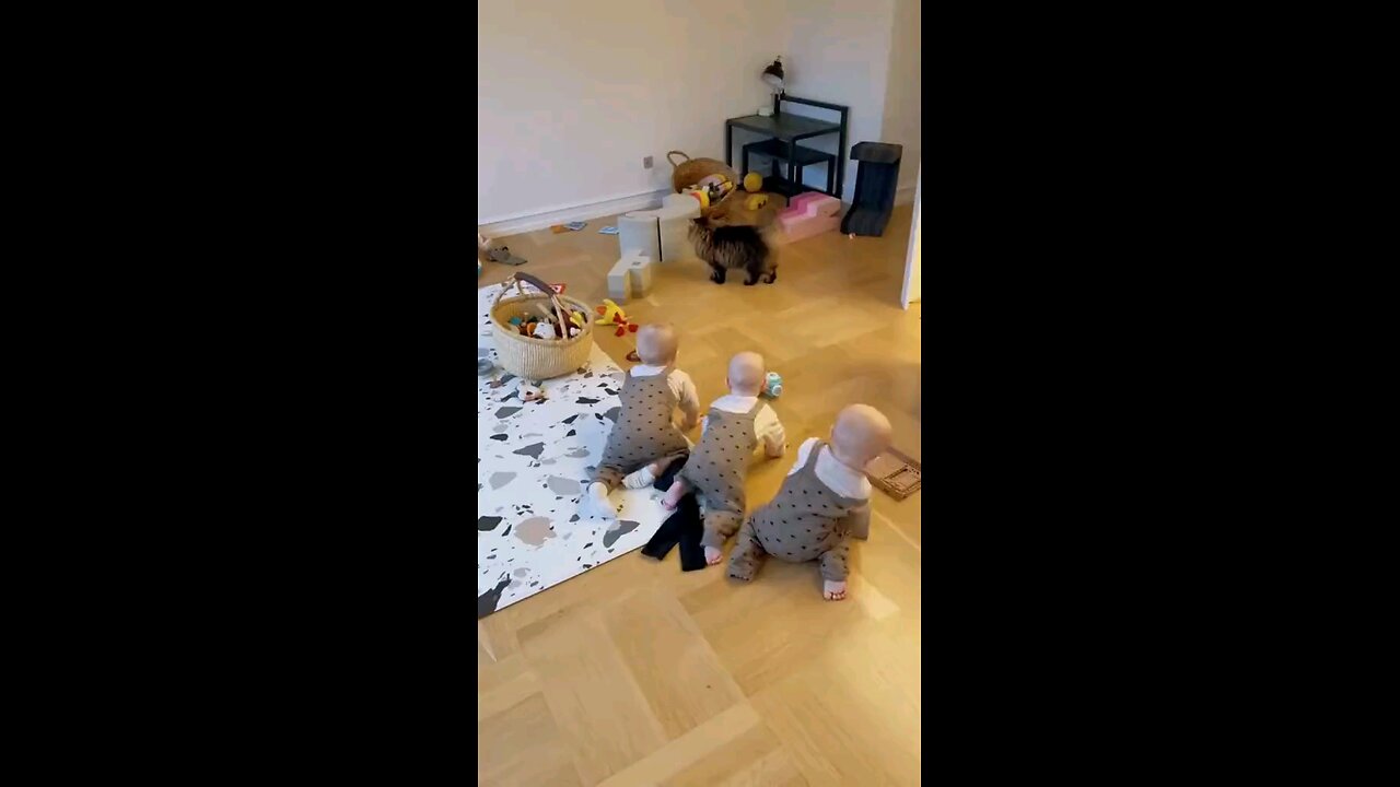 cute babies playing