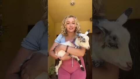 I love you Goat milk lol