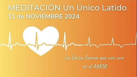 MEDITACIÓN Un Único Latido | 11 noviembre 24