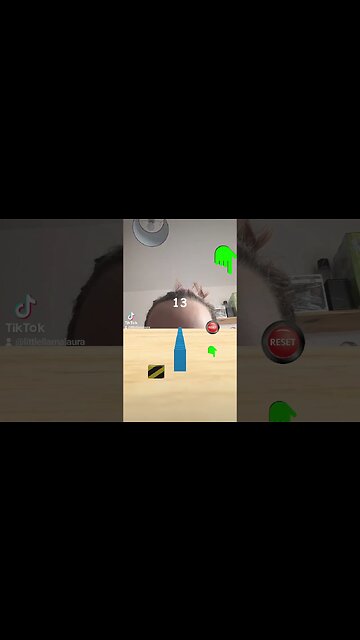 yes I did it #tiktok #tiktoktrend