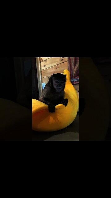 Famous Gaitlyn Live Video #Shorts