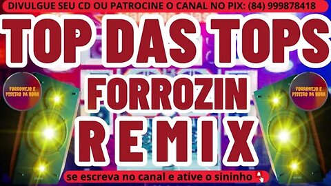 FORROZINHO REMIX 2023 AS MELHORES DO FORRÓ REMIX 2023 @brasilsertanejando4788​