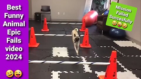 Funiest Epic Fails part-3 AnimalFails, FunnyFails, EpicFails, FunnyVideo